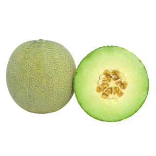 Madhuri 2 Muskmelon From  Known You Seed (India)-KYI